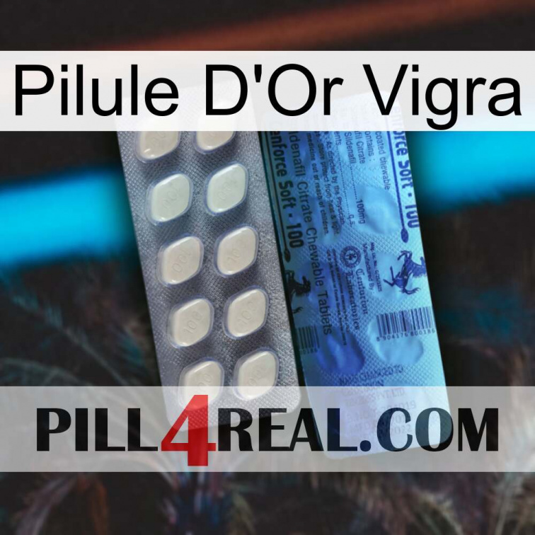 Vigra Gold Pill 34